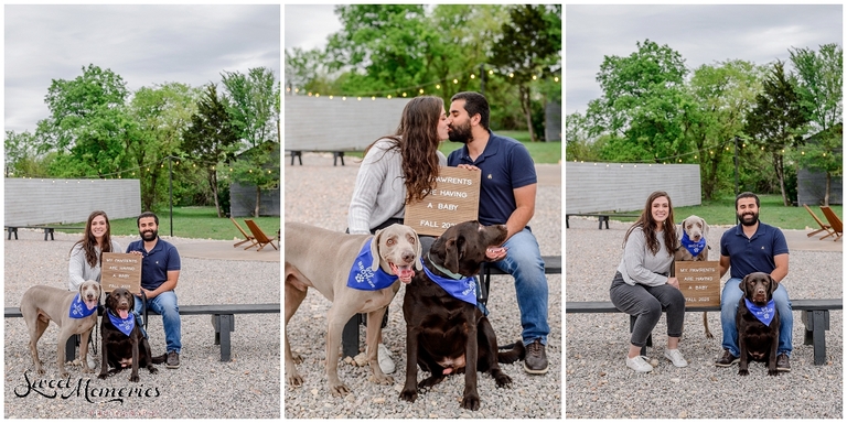 Camino Real Ranch session | Austin TX photographer