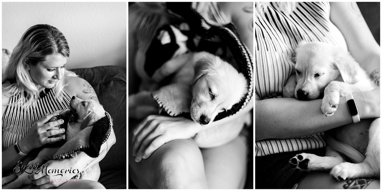 Pet portraits | Austin lifestyle photographer